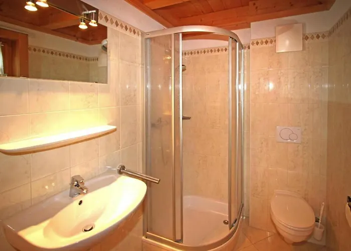 In Near Hohe Tauern Dağ evi